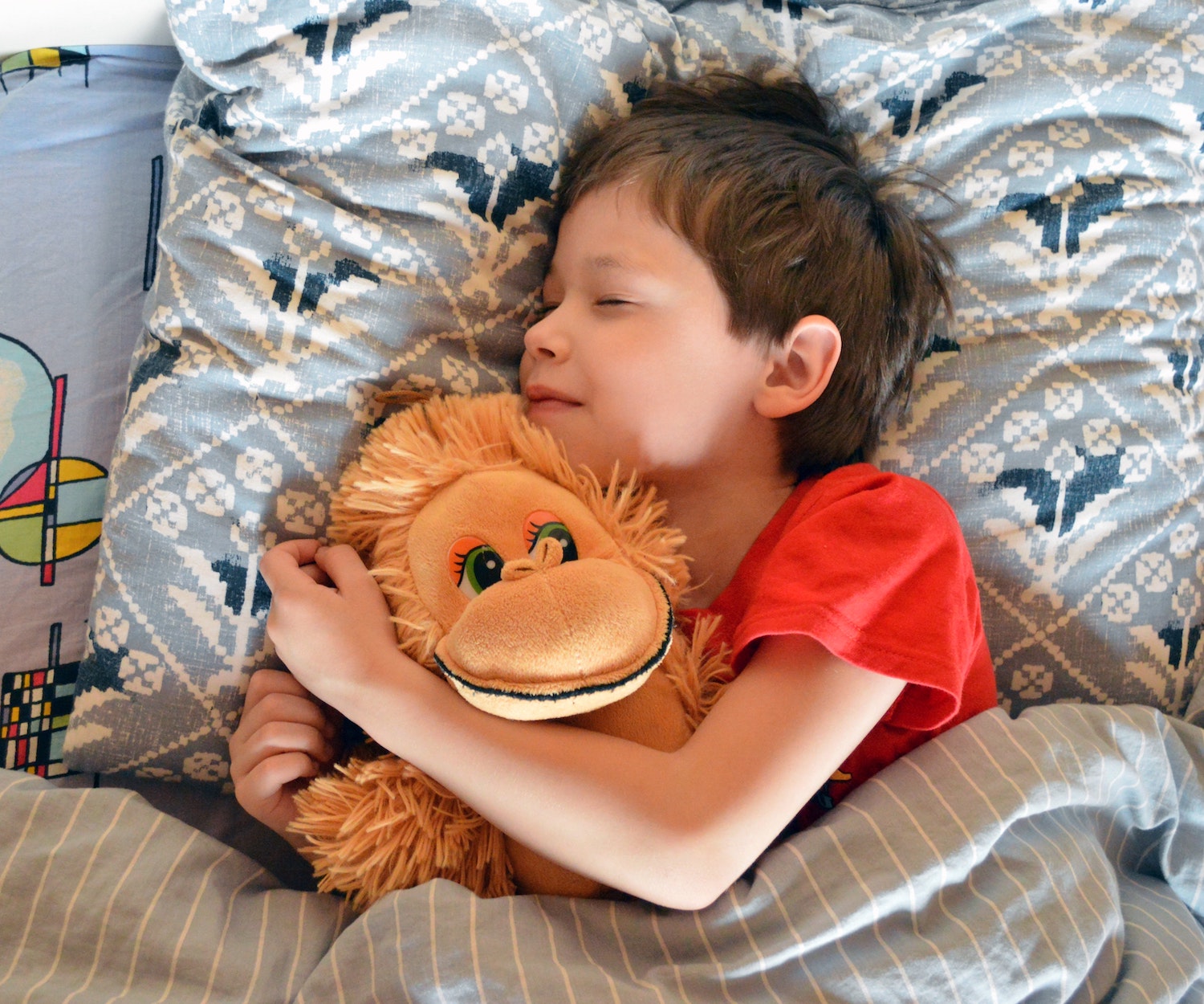 FAQs for hosting refugees: child sleeping in a bed hugging a stuffed animal
